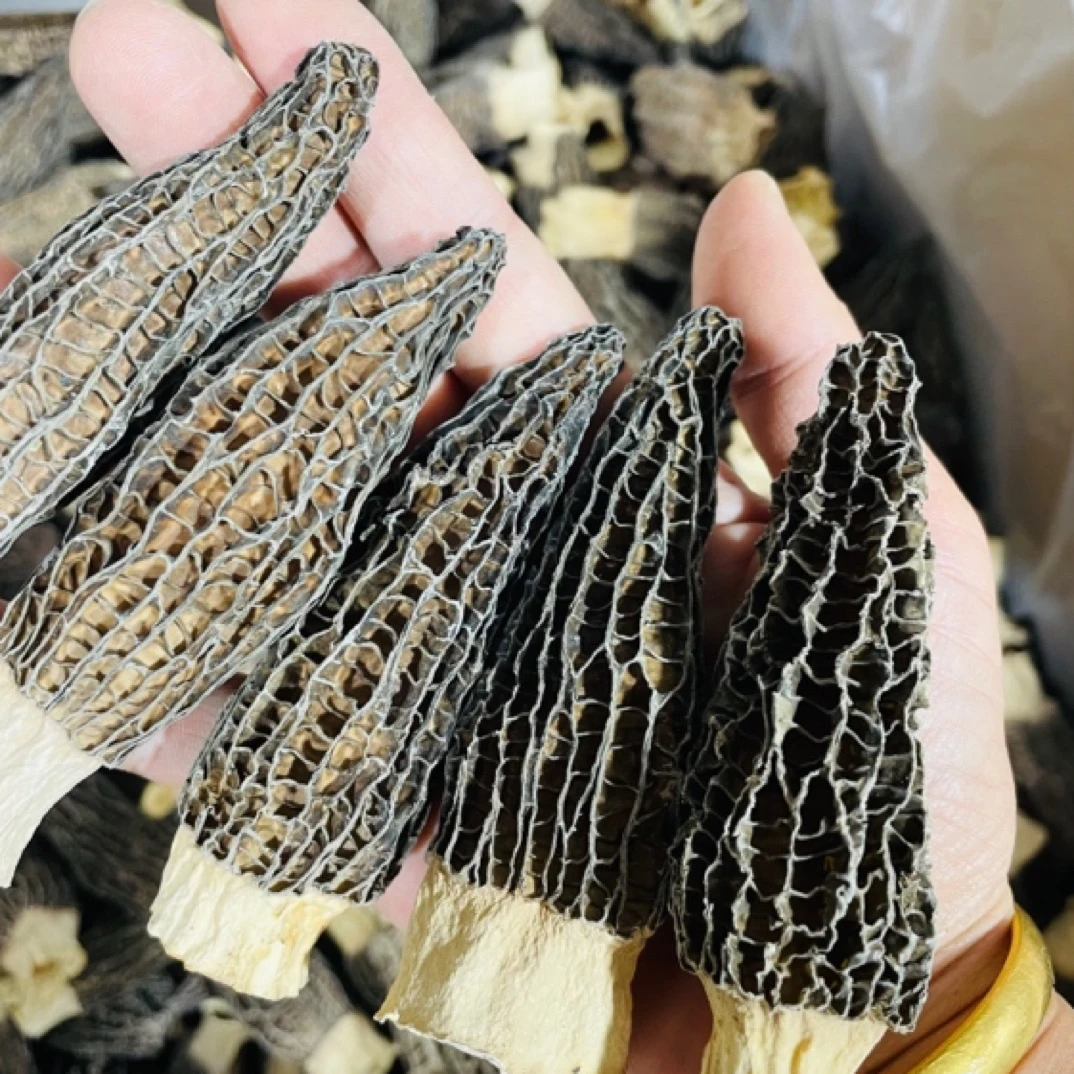 选货大个云南羊肚菌8-12，250克500克