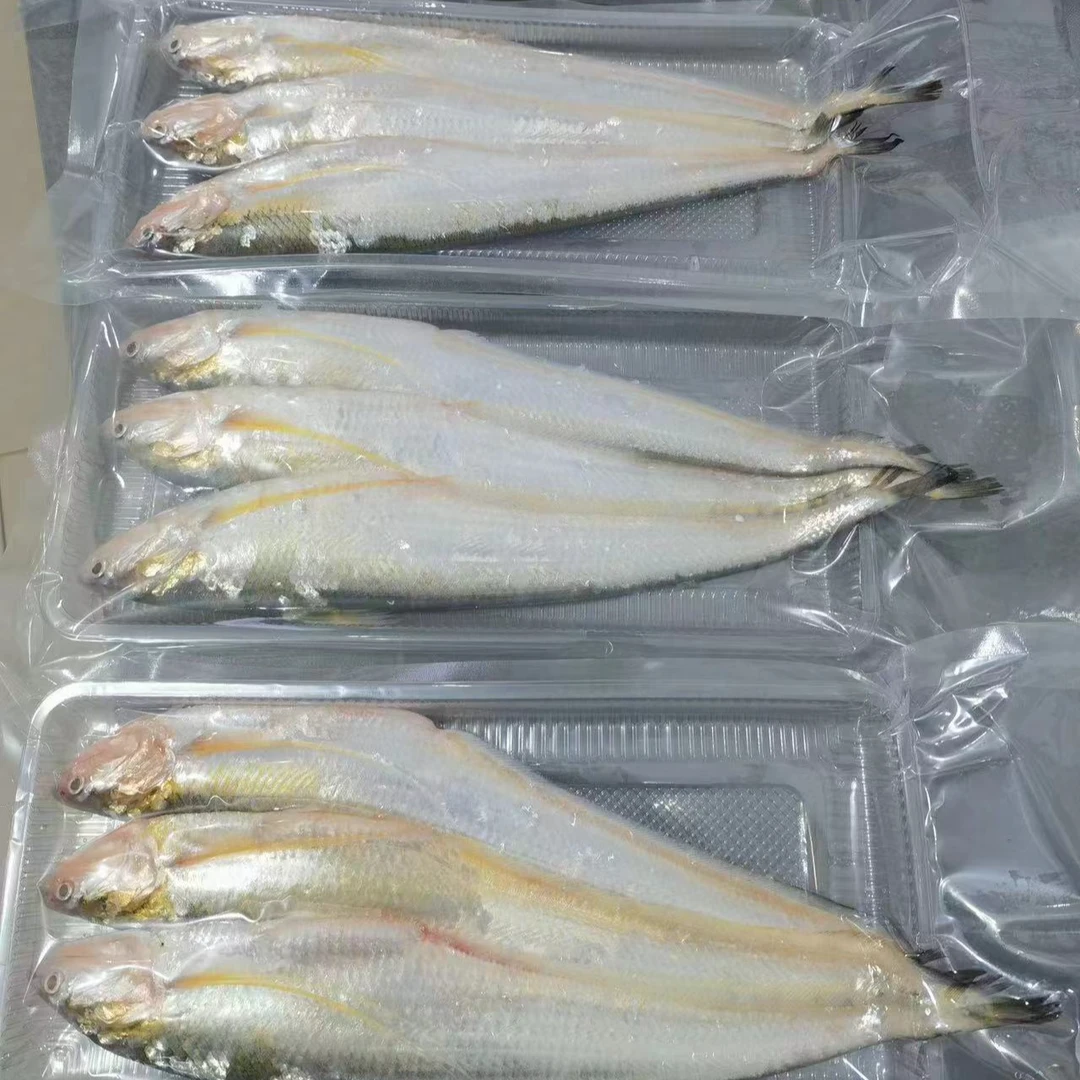 江阴河豚渔村冰清刀鱼3条装小规格尝鲜价