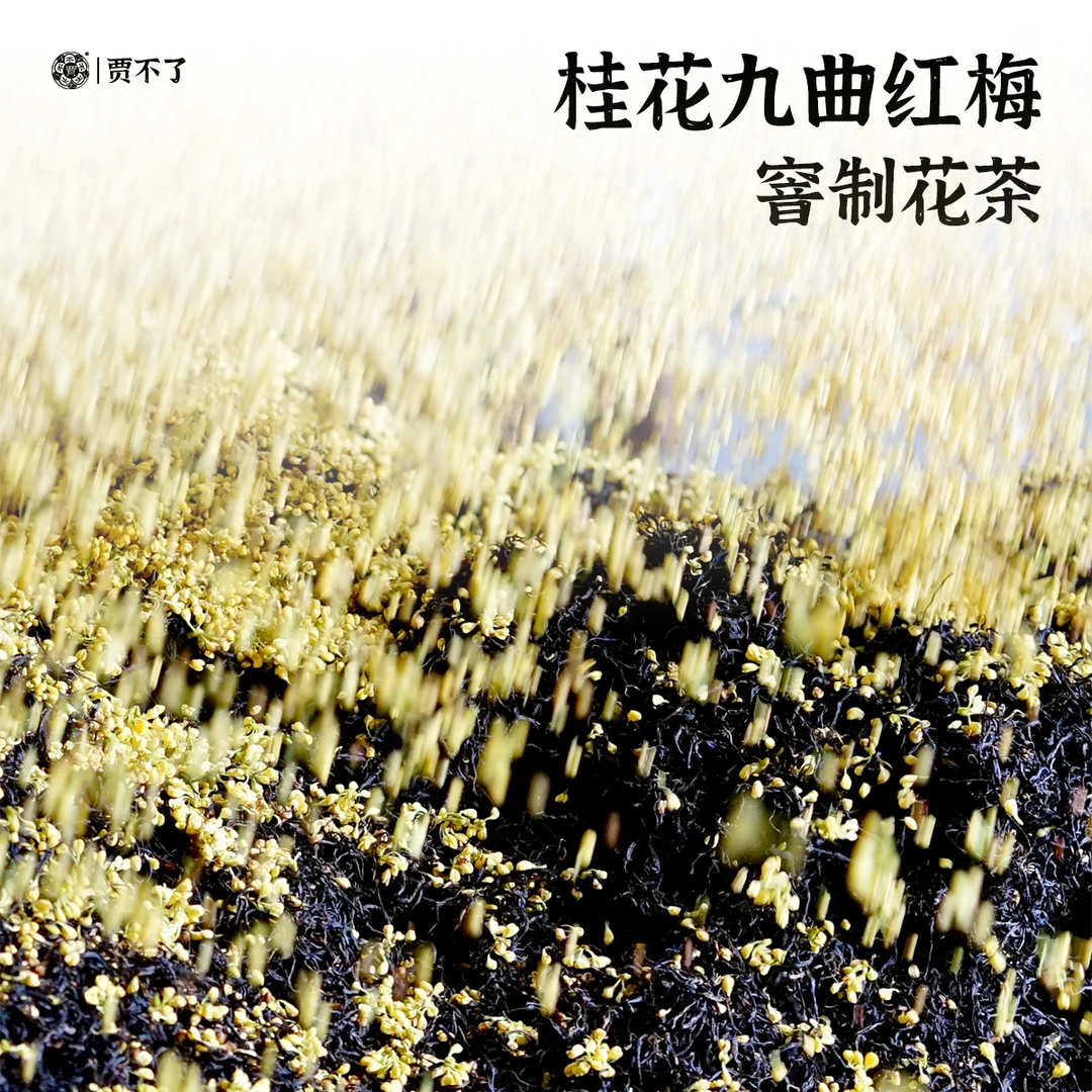 桂花九曲红梅红茶窨制花茶甜香饱满杭州特产茶叶75g
