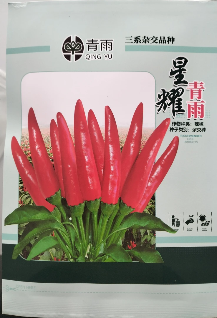 青雨星耀辣椒种 （2000粒*4袋）/亩，抗病高产，矮杆抗倒！拍5亩发6亩