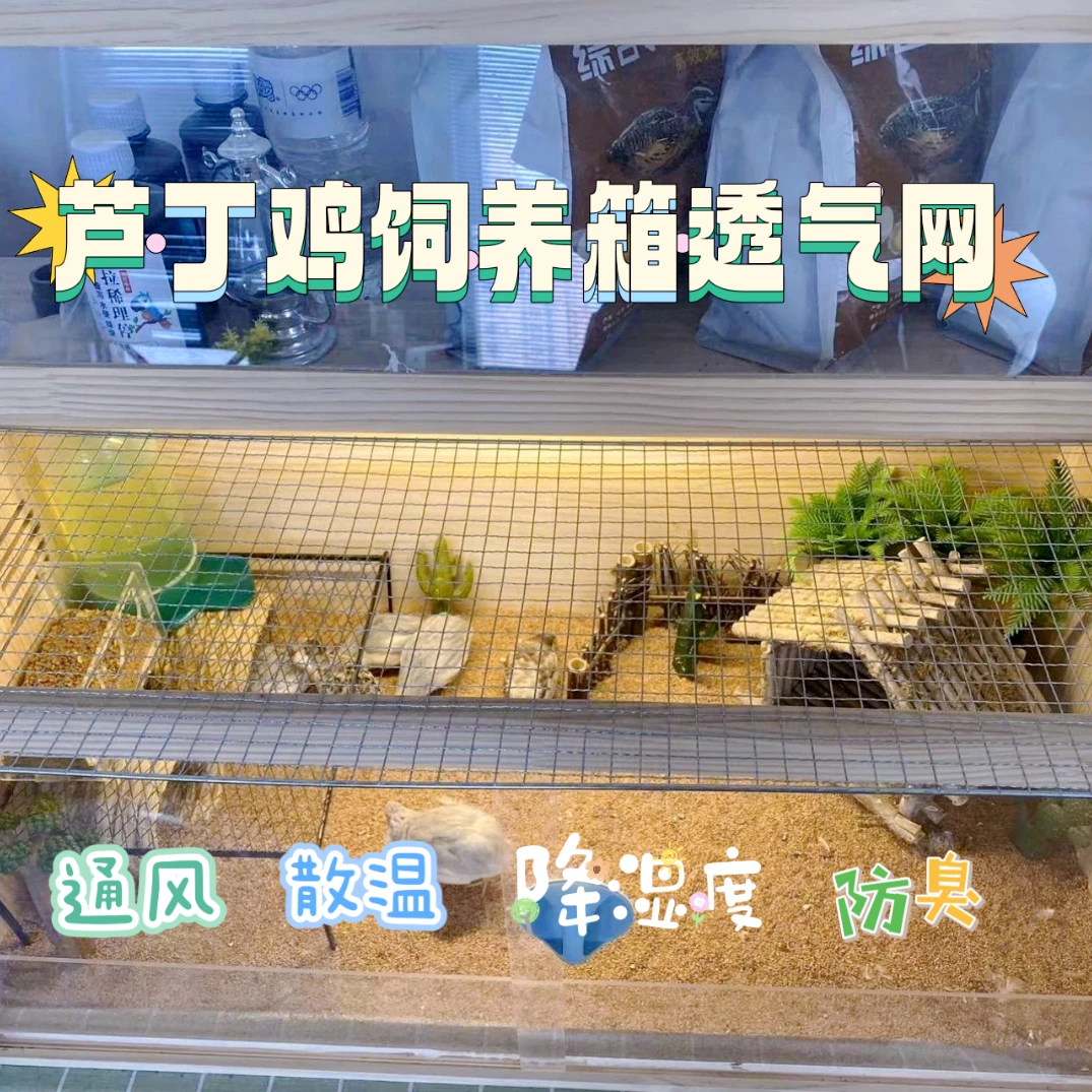 芦丁鸡养殖箱子长方形铁网可代替芦丁鸡箱门子通风散热