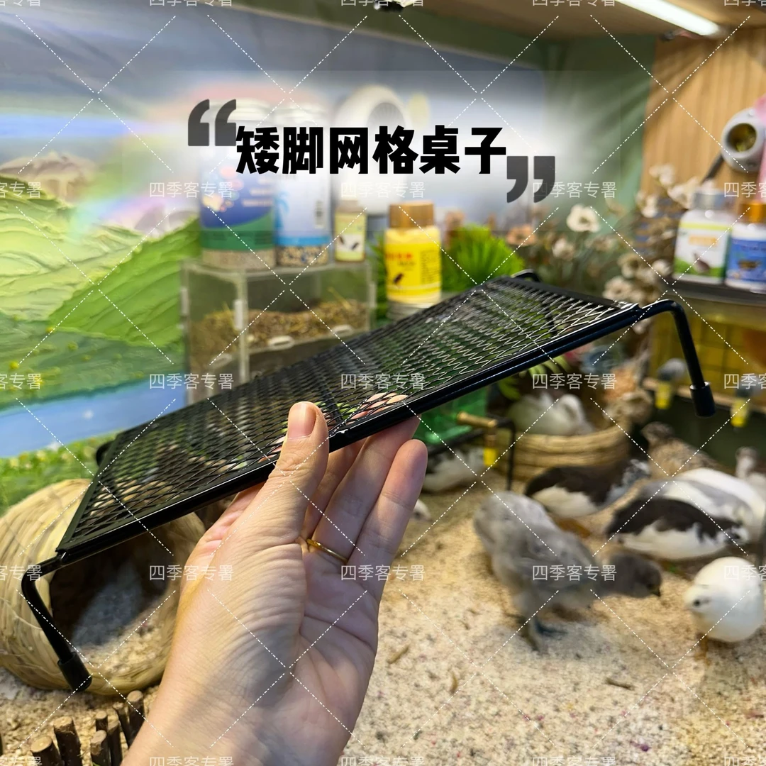 芦丁鸡小宠物鸡专用矮脚网格桌子黑色加固稳当易爬