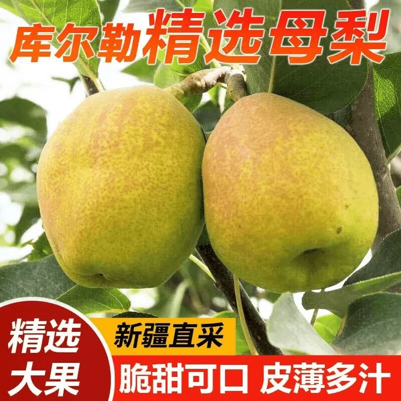【新疆直发】正宗库尔勒香梨脆甜多汁整箱