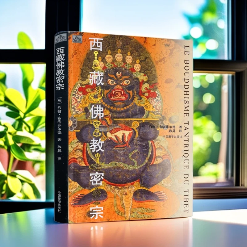 西藏佛教密宗 约翰布洛菲尔德 著 藏学出版社藏传佛教藏学书籍