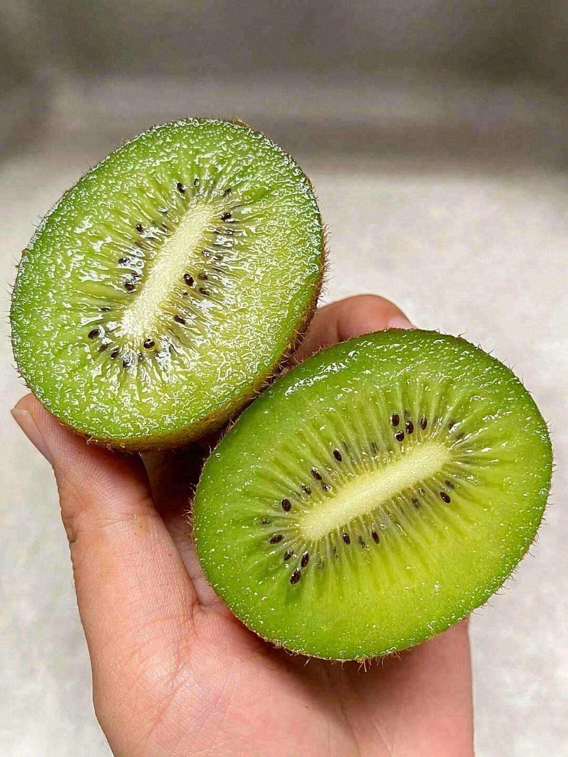 白泽徐香猕猴桃9.9一盒‼️