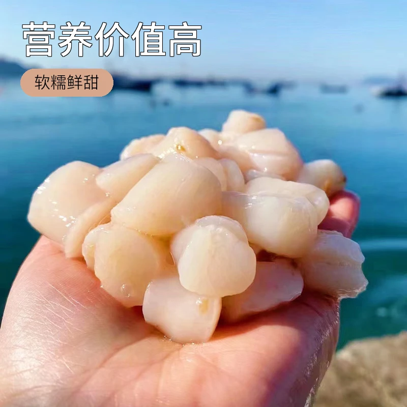 【推荐大连扇贝丁肉】渤海湾优选野生扇贝丁柱3袋装顺丰发货