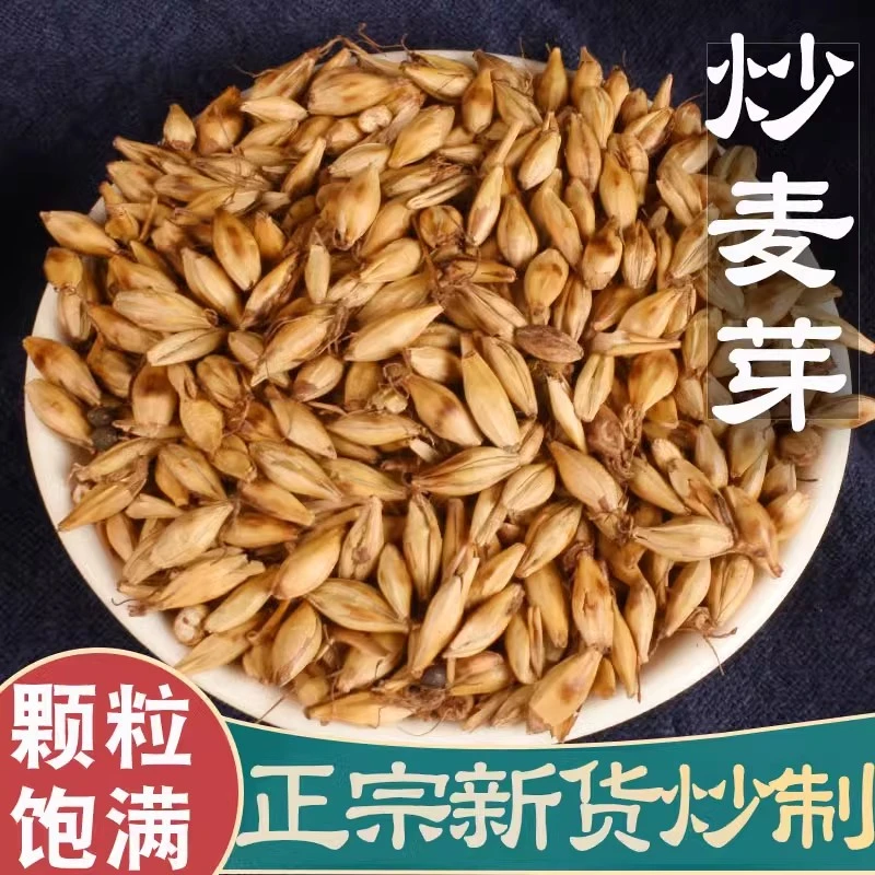 精选大麦茶炒麦茶炒麦芽熟麦芽茶新鲜干净健康无硫泡水泡茶