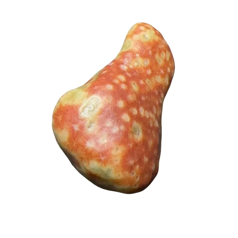 阿拉善奇石盆景石