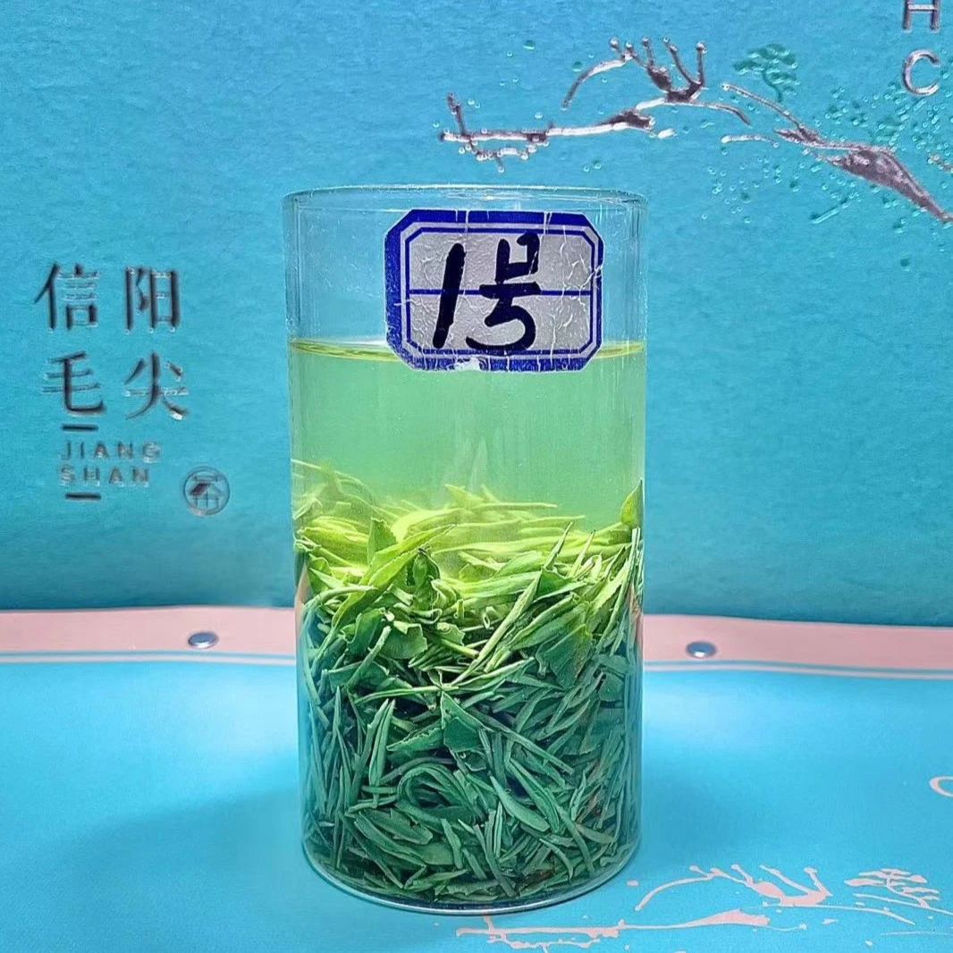 【雨前芽叶】2025信阳毛尖口粮茶雨前茶板栗香鲜嫩浓郁耐泡味重好喝
