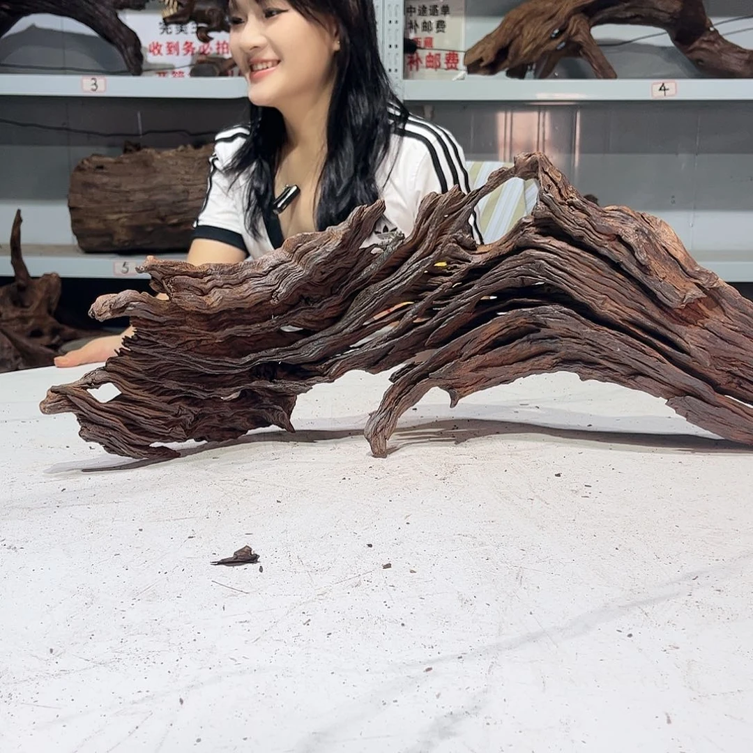 瓦当啡*仔沉水黑红黄水正常230