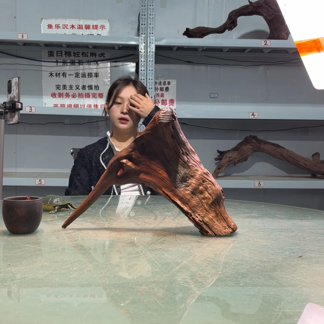 【闪购商品】陶瓷盘明****.724
