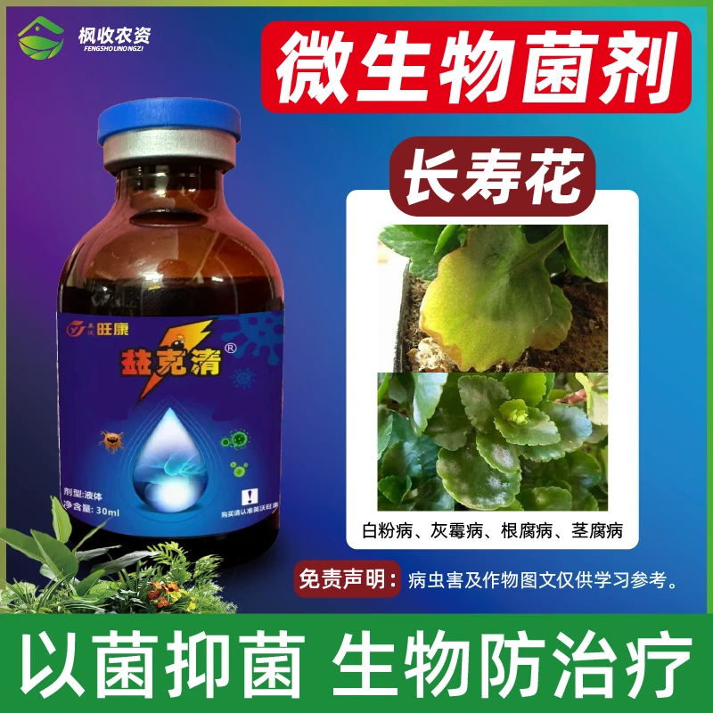 长寿花微生物菌剂营养液催花促花肥盆栽专用肥开花肥料喷施叶面肥