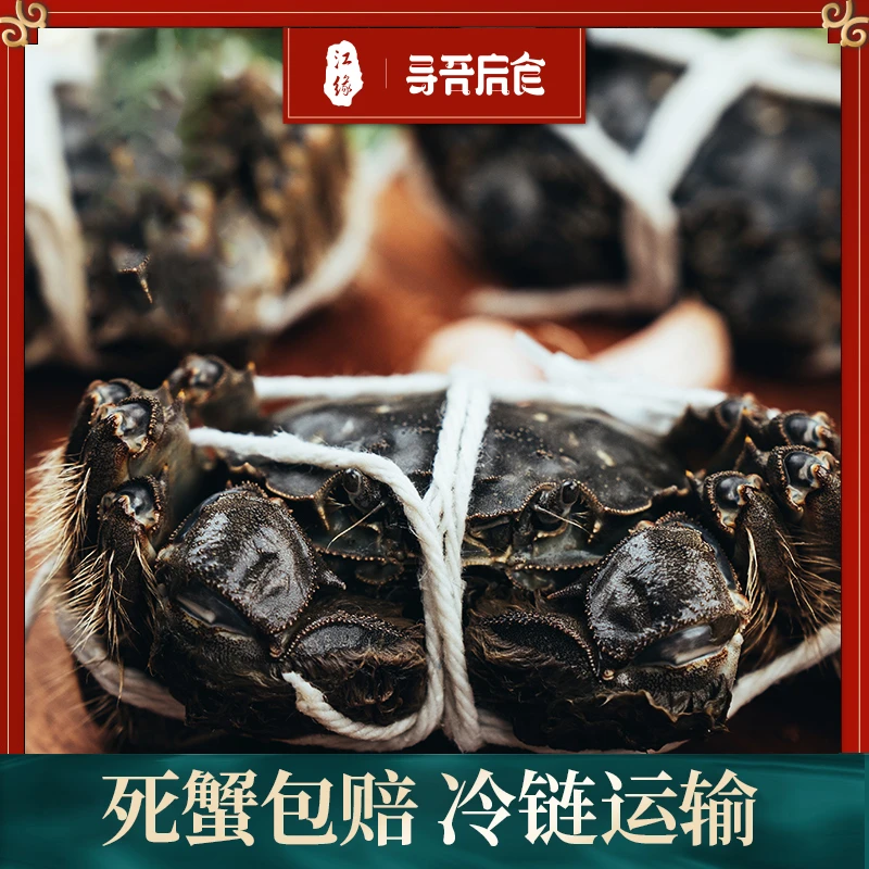 江缘联名寻吾启食 鲜活江沙蟹公蟹 2两*8只  当天捕捞 Z