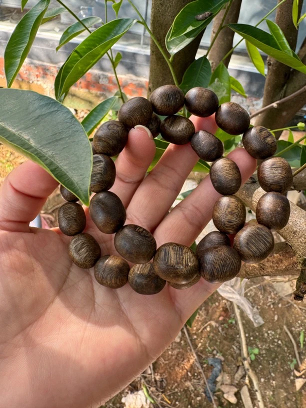 D 留疤珠 15克奇楠沉香多样性发1