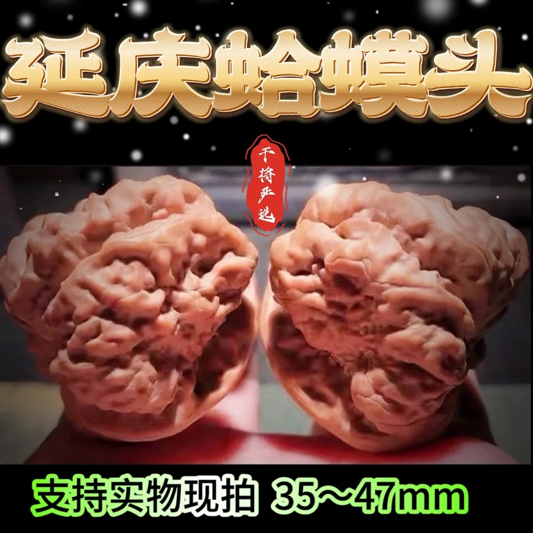 文玩核桃延庆蛤蟆头35-46mm一代老树金蟾蛤蟆头开背蛙把玩精品