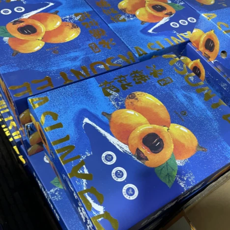 【礼盒】冰糖枇杷 1箱
