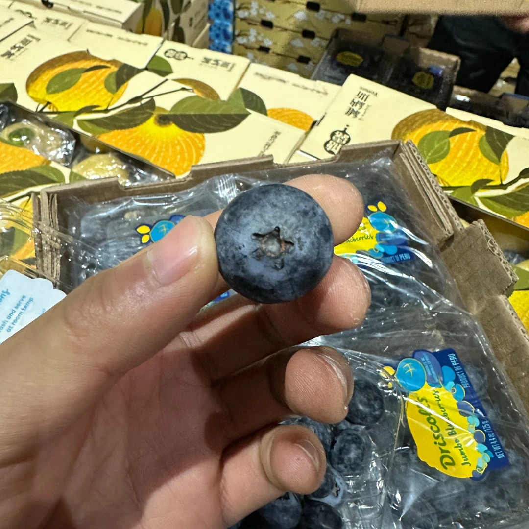 【推荐】怡颗莓蓝莓 18+ 1箱/12盒
