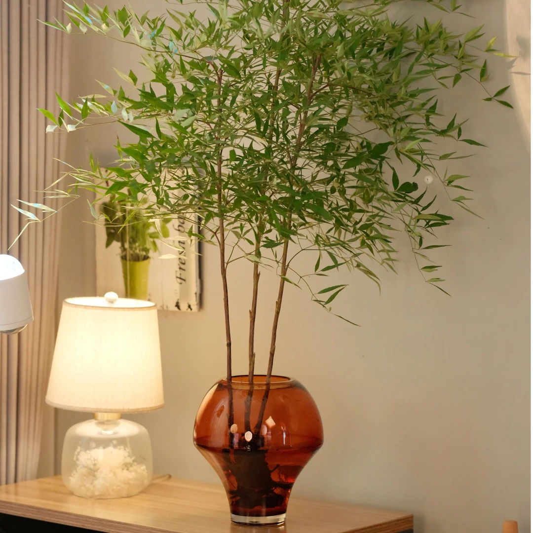 新款明悦精品高级花瓶品牌精选鲜花绿植插花专用家居客厅卧室摆件