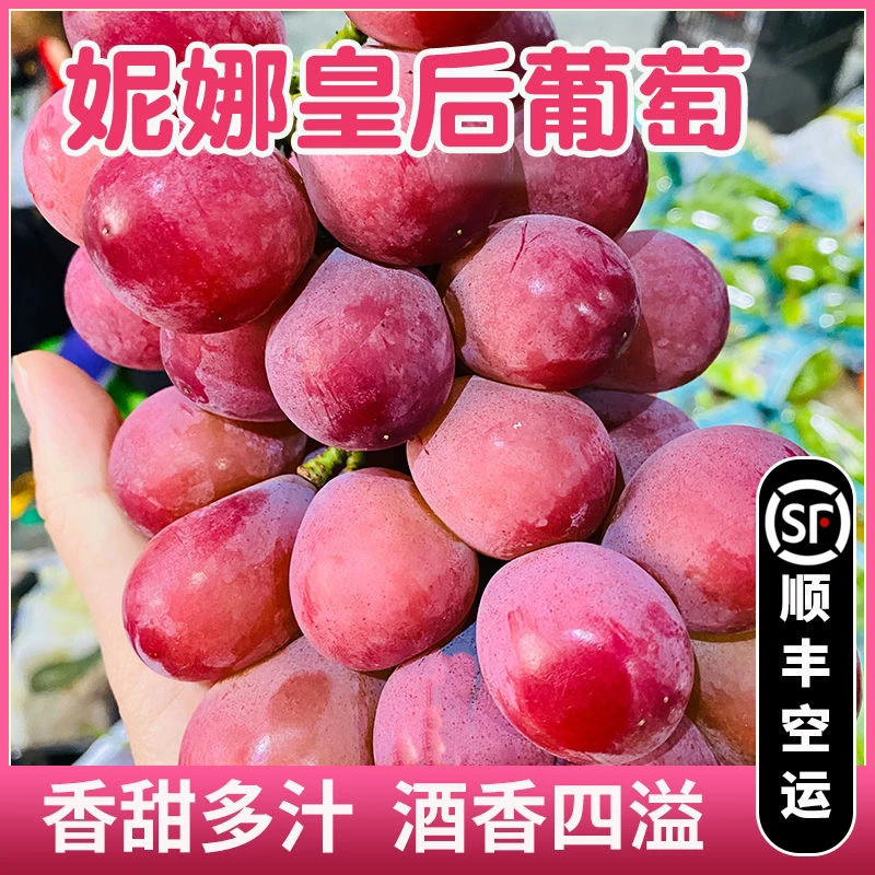 正宗东北妮娜皇后葡萄现摘现发新鲜当季孕妇水果顺丰包邮1-4斤装