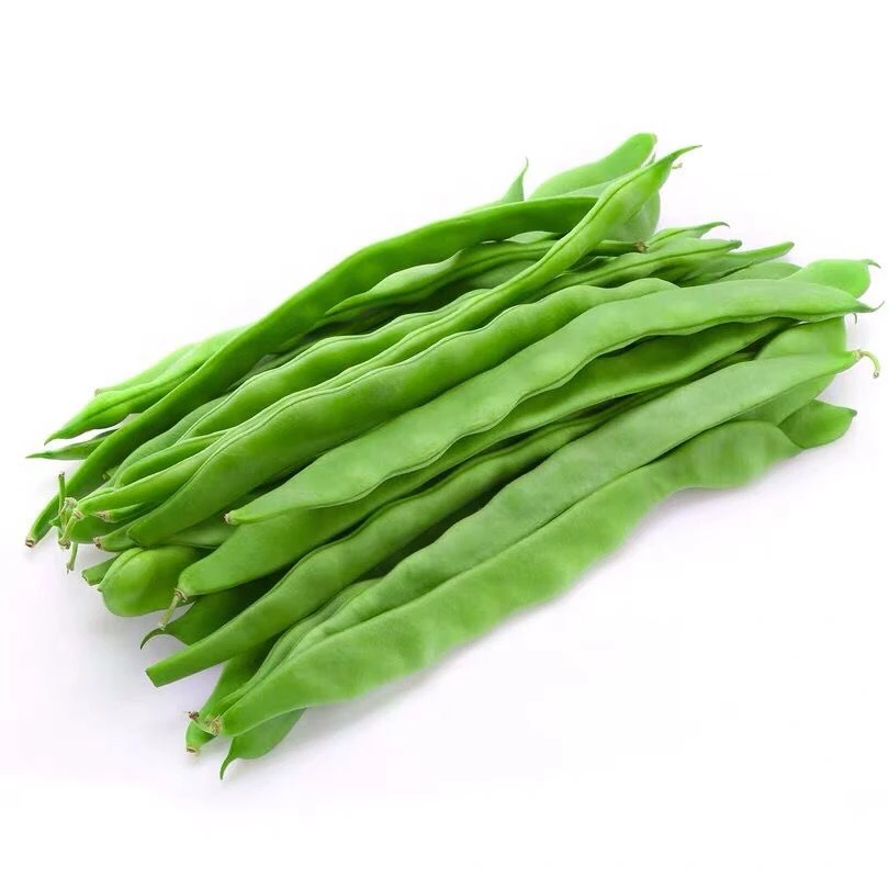 山东新鲜扁芸豆角宽豆现摘现发农家种植新鲜蔬菜脆嫩无丝3/5斤