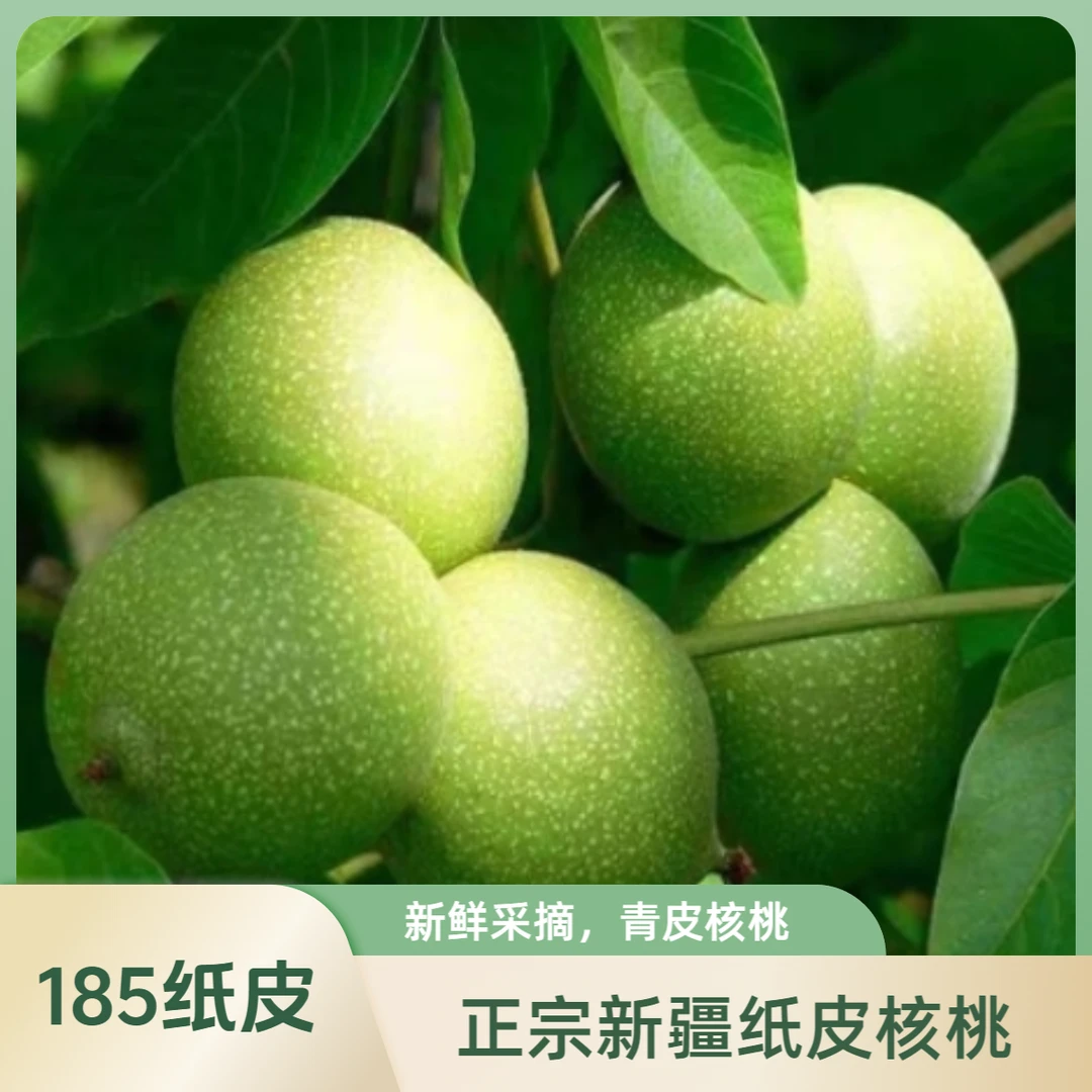 新疆阿克苏鲜核桃正宗185纸皮核桃现摘现发