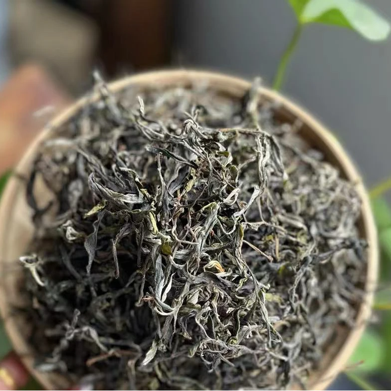 2023年大朝山普洱茶