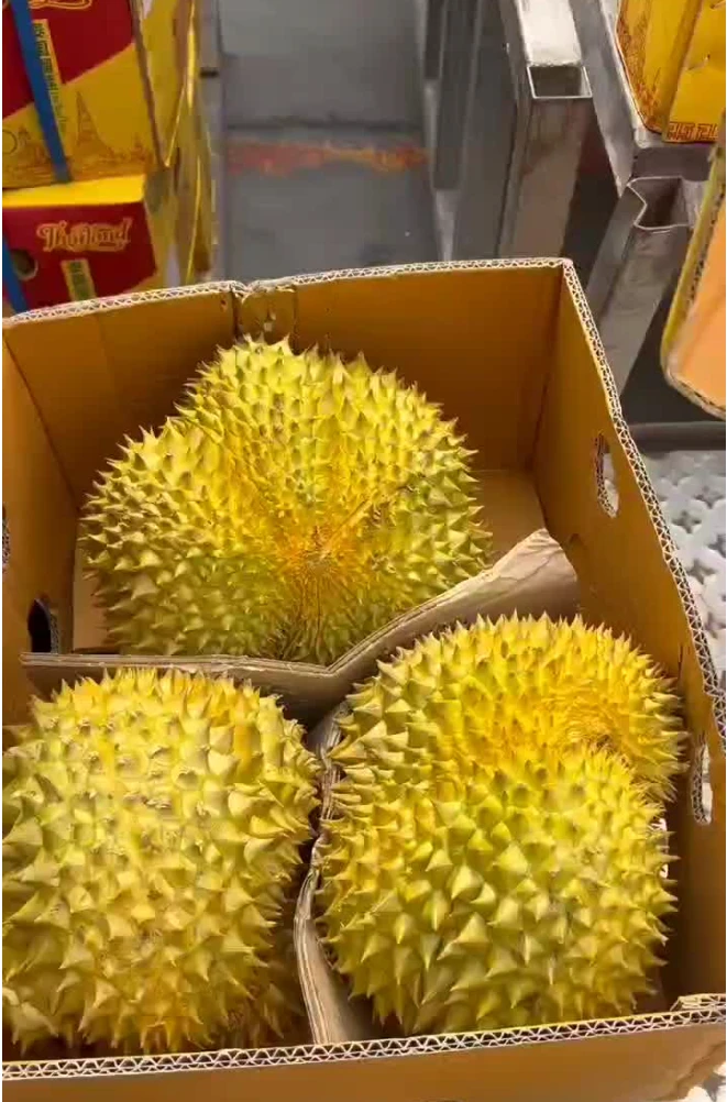 泰国树熟金枕榴莲（无售后）