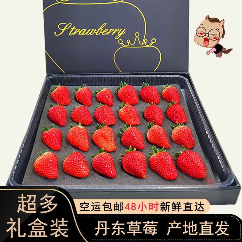 【顺丰包邮】 产地直发正宗丹东九九草莓900g礼盒新鲜红颜奶油草莓