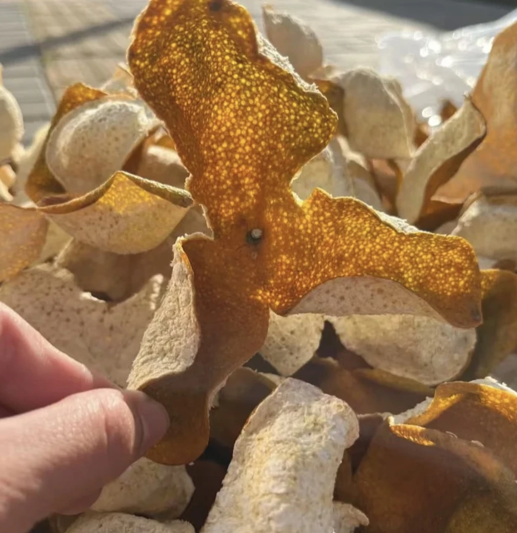 梅江/天马/东甲直播间活动 通用链接 泡茶泡水老陈皮