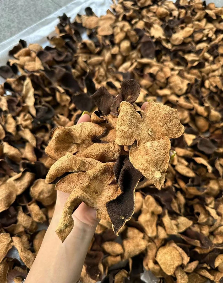 直播间活动 通用链接 泡茶泡水老陈皮