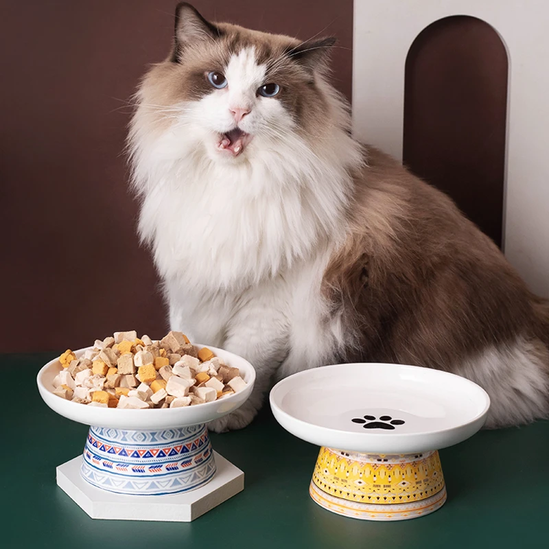 陶瓷猫碗波西米亚高脚盘冻干罐头专用碗大口径浅口方便进食宠物碗