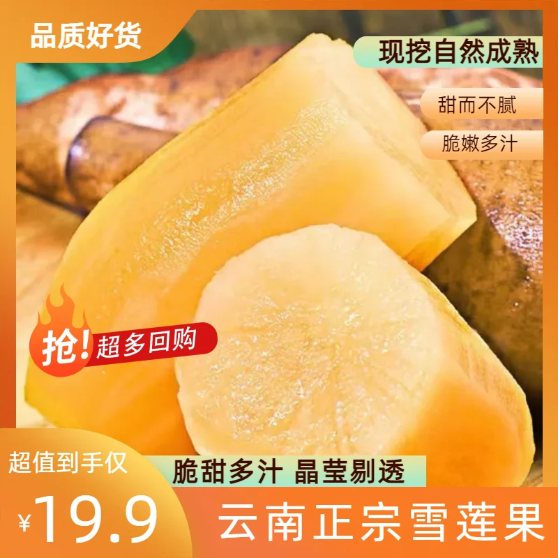 云南雪莲果清甜多汁脆嫩可口新鲜水果当季现挖精选5斤5-12个装
