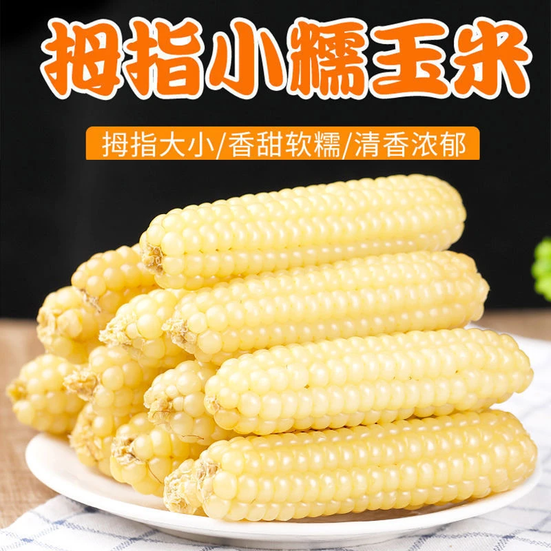 云南版纳软糯拇指玉米儿童辅食孕妇营养早餐粗粮搭档2斤礼盒装