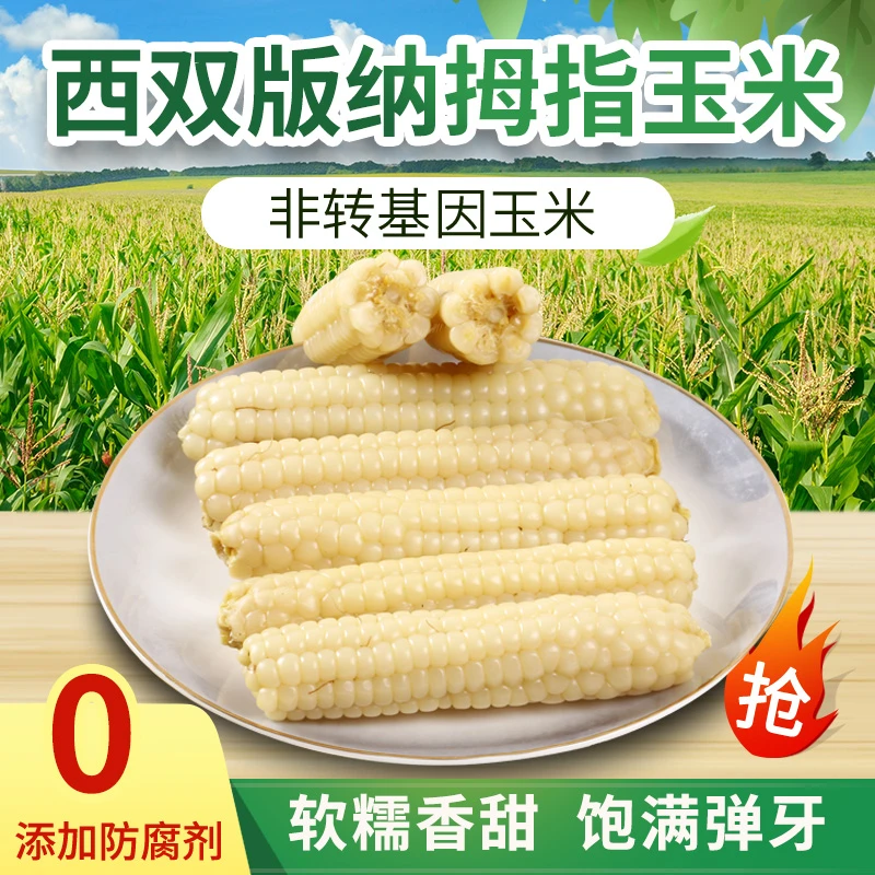 云南西双版纳软糯玉米Q弹锁鲜
