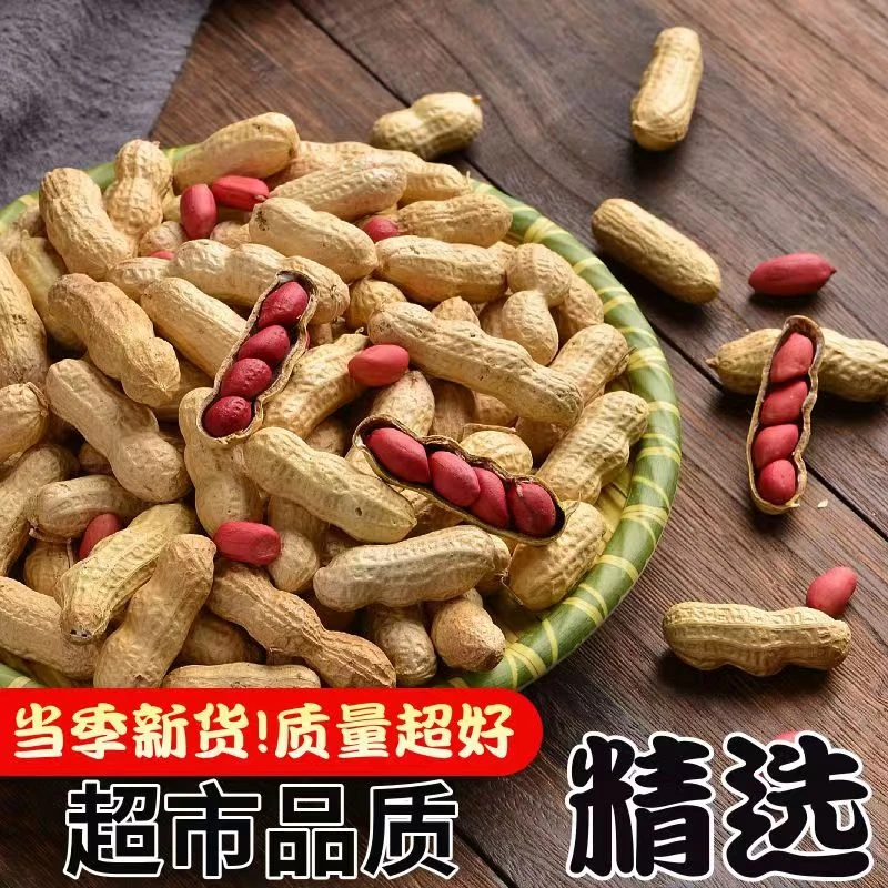 新货四粒红花生红衣花生自然晾干带壳红皮花生农家生花生可吃可种