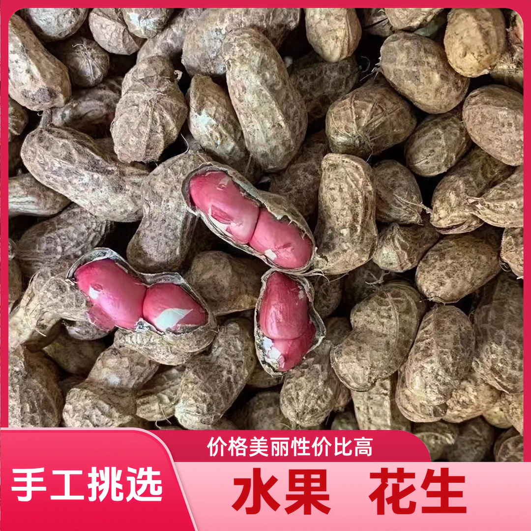 水果花生新鲜湿花生现挖带泥鲜花生带壳花生米红皮花生生吃鲜花生