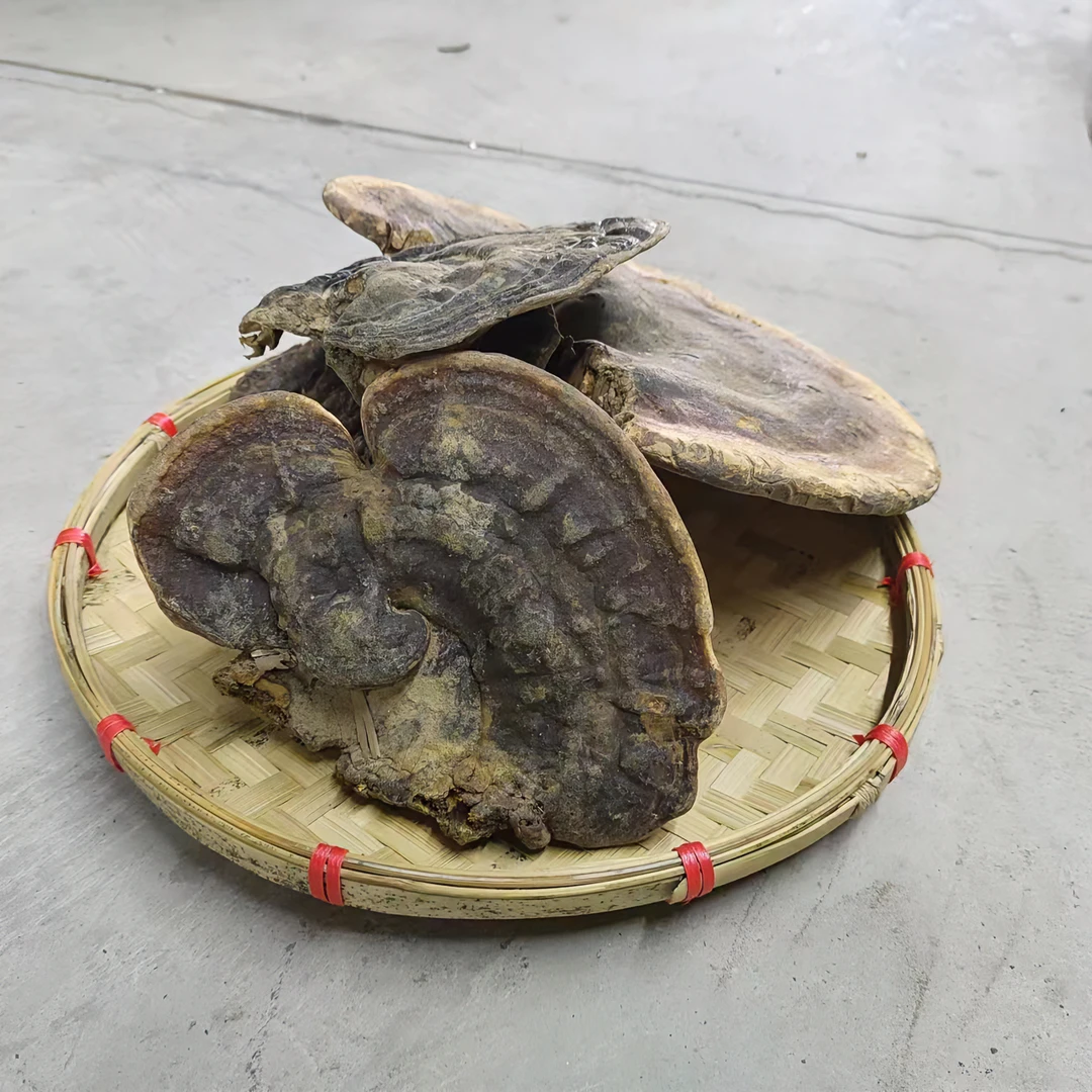 【阿豪优选】精选虎掌灵芝250/500克