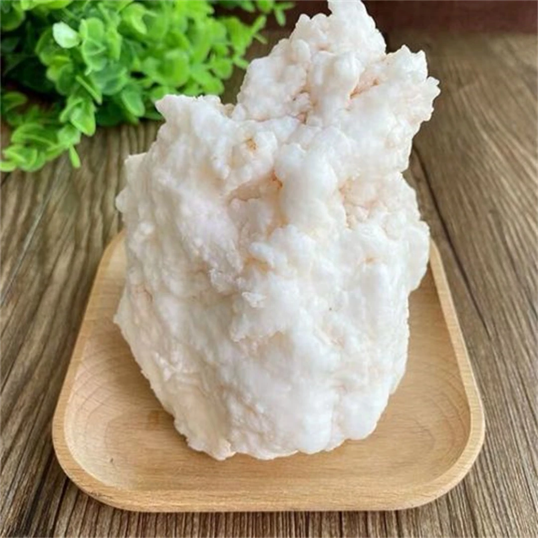 【阿豪优选】精选 太岁肉灵芝