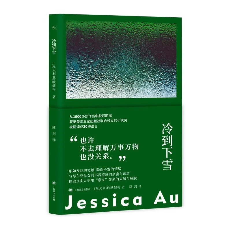 冷到下雪 东亚母女关系内心世界 欧健梅上海译文出版社