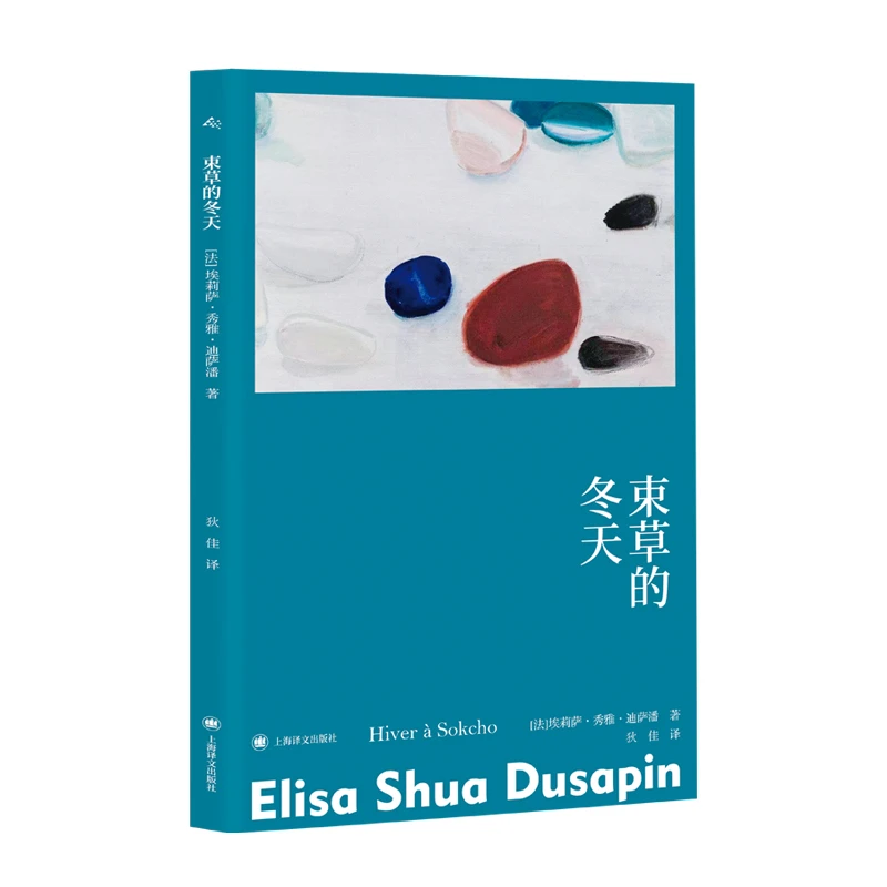 束草的冬天 埃莉萨秀雅迪萨潘名著瓦尔泽奖主上海译文出版社
