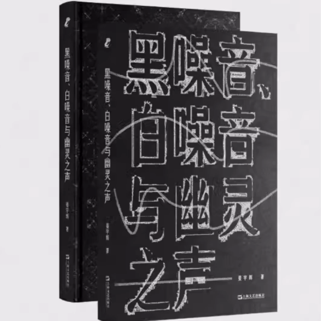 黑噪音白噪音与幽灵之声 姜宇辉著作上海文艺出版社