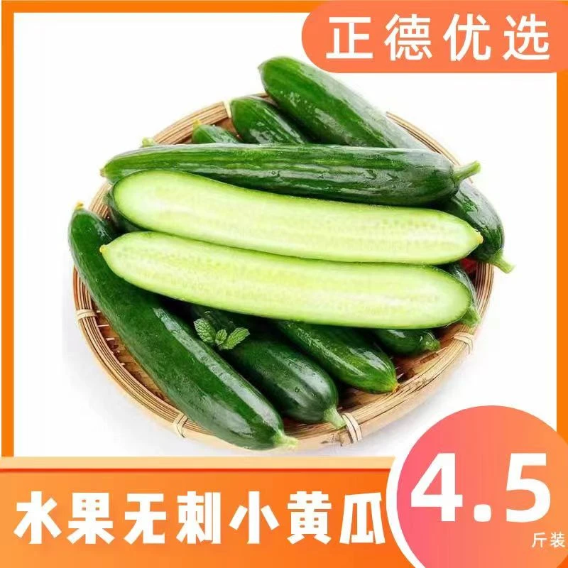 新鲜水果小黄瓜无刺黄瓜清香脆爽农家农产品 4.5斤（现摘现发）