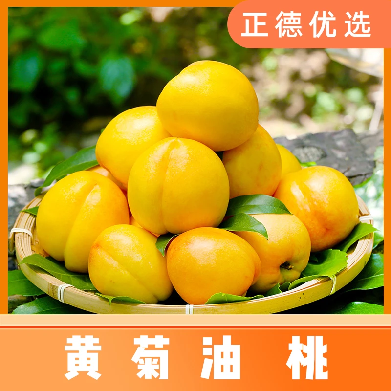 【黄菊油桃】山东蒙阴黄菊黄油桃新鲜多汁现摘现发 4.5斤装 W
