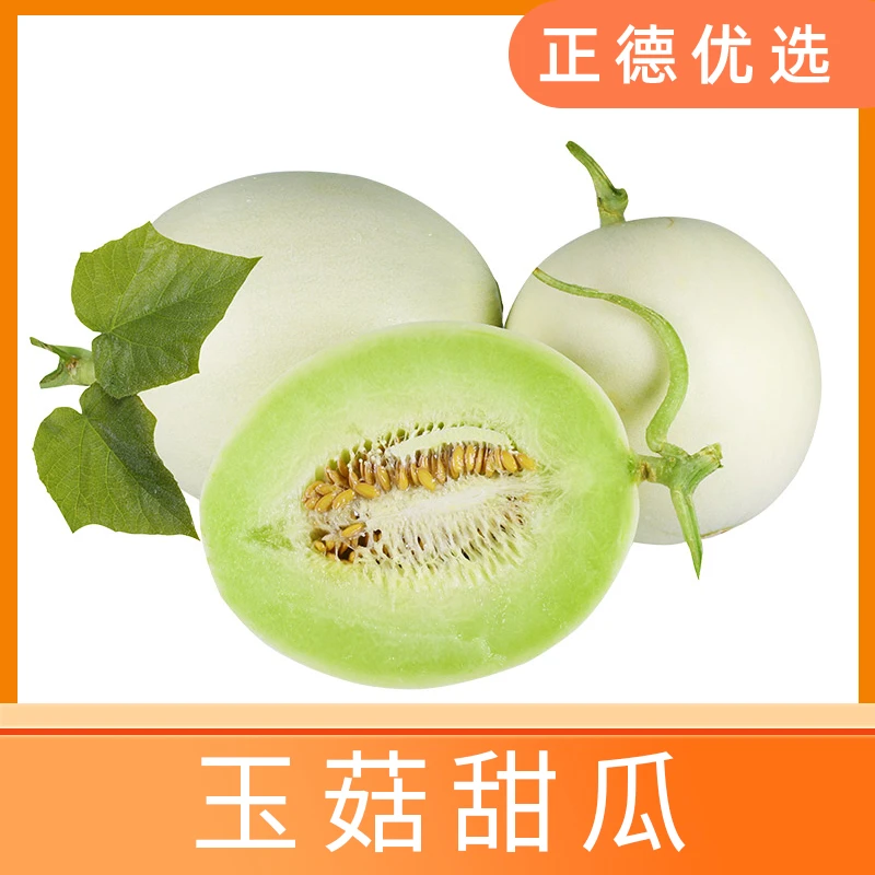 【玉菇甜瓜】海南玉菇冰淇淋甜瓜新鲜采摘 4.8-5.2斤 2个装 X