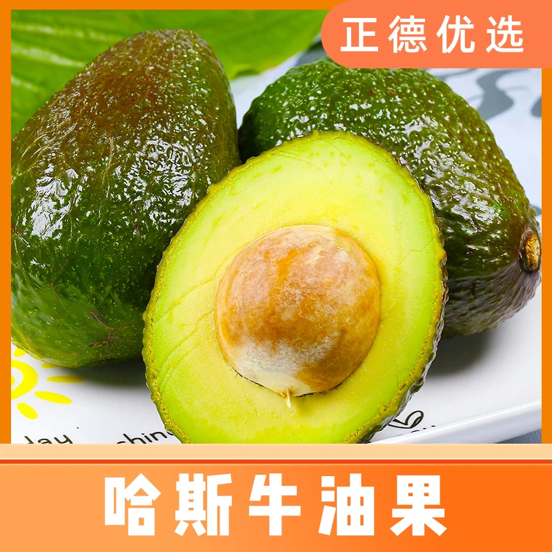 【哈斯牛油果】智利新鲜水果鳄梨巨无霸牛油果 6枚装 S