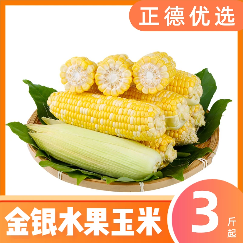 【水果玉米】云南现摘金银水果玉米原生态可榨汁脆甜嫩玉米3-9斤
