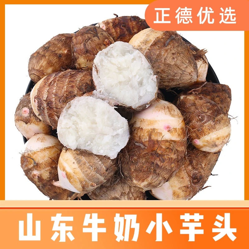 【牛奶小芋头】山东新鲜芋头绵软柔滑4.5斤 S