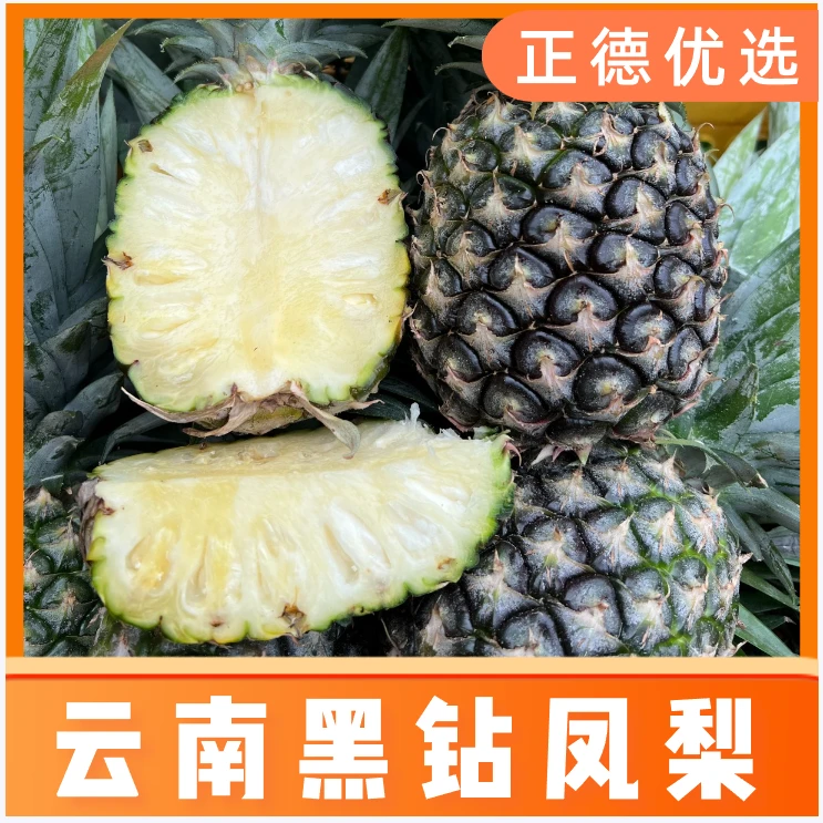 【黑钻凤梨】云南西双版纳黑钻凤梨新鲜水果多汁果香4.5-5斤装 S