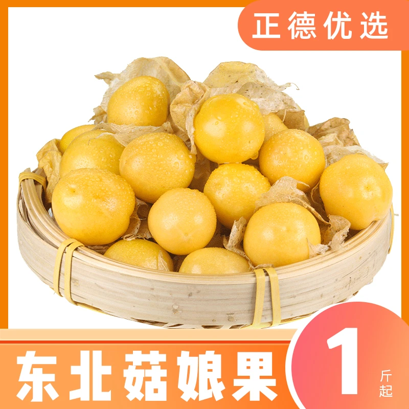 【东北菇娘果】当季水果香甜多汁灯笼果姑娘果产地直发1/2斤装 w