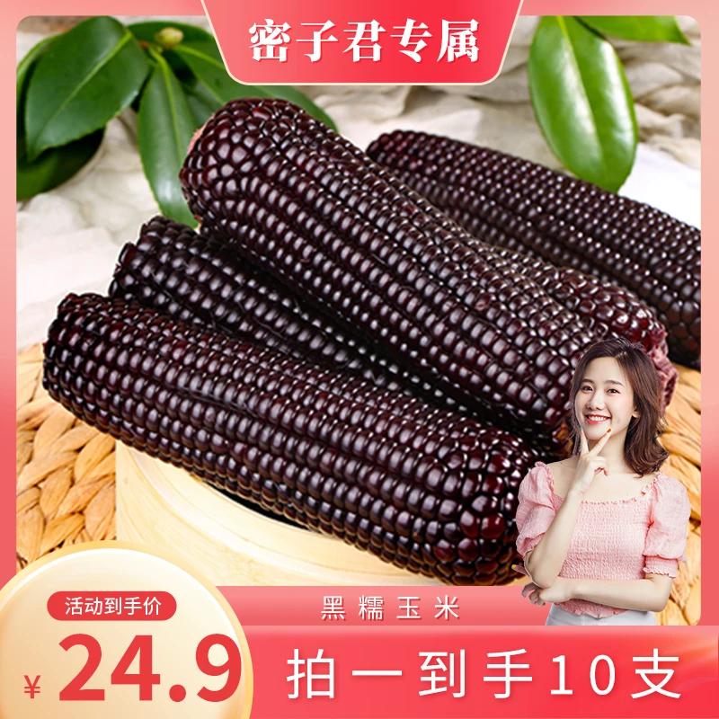 【黑糯玉米】颗粒饱满香甜黏糯独立真空包装黑玉米180g/根10支
